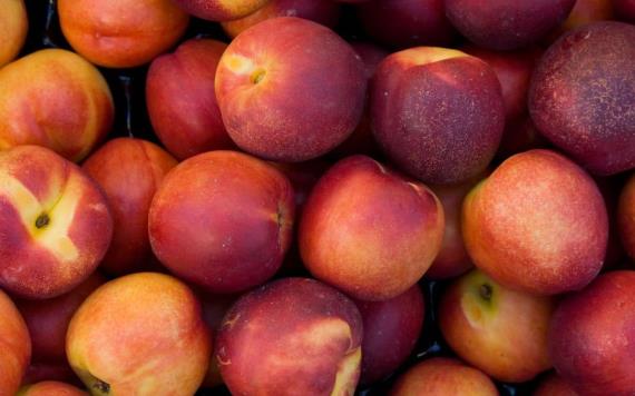 ¡Alerta! ¿Tienes estas frutas en casa? Podrían estar contaminadas