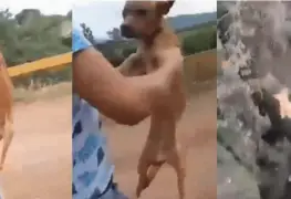 VIDEO: Joven lanza a perrito desde un puente en Michoacán