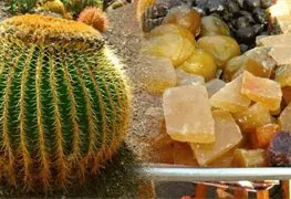 Acitr&oacute;n: el ingrediente que est&aacute; prohibido en la Rosca de Reyes
