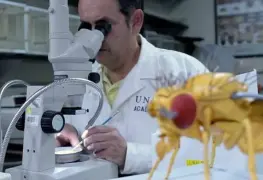 UNAM Global TV, presenta el proyecto académico Historias UNAM