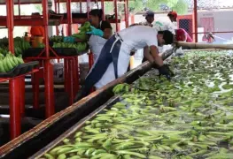 Crecen 4.6% las exportaciones de Tabasco