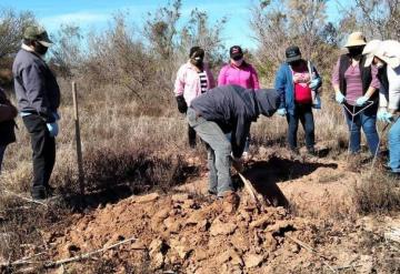 Video: Colectivo Madres Buscadoras de Sonora encuentra 19 fosas clandestinas