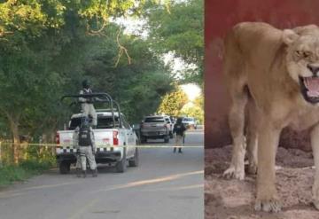 Catean propiedad de líder criminal; tenía un ´zoológico´ en Acachapan y Colmena