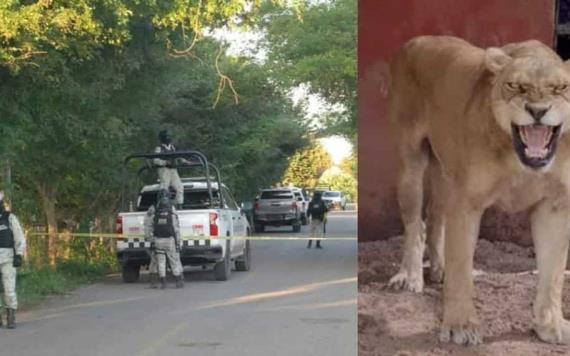 Catean propiedad de líder criminal; tenía un ´zoológico´ en Acachapan y Colmena