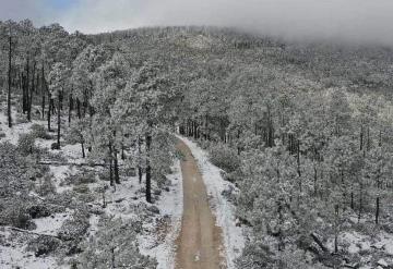 Probabilidad de caída de nieve o aguanieve