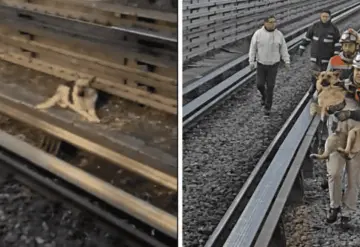 VIDEO: rescatan a canino en Metro de CDMX