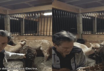 VIDEO: La alpaca de Kevin Bacon y su respuesta a My Sharona