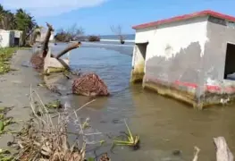 Plantean fondo por el cambio climático