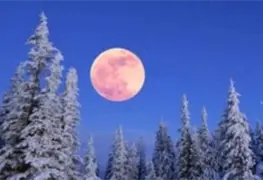 &iquest;Cu&aacute;ndo y a qu&eacute; hora ver la Luna de Nieve en M&eacute;xico?