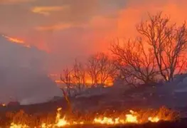 El mayor incendio forestal de la historia de Texas podría propagarse con más velocidad