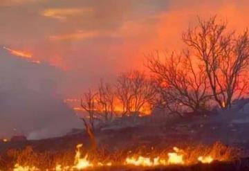 El mayor incendio forestal de la historia de Texas podría propagarse con más velocidad