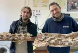 Hallan el esqueleto de un dinosaurio gigante de hace 70 millones de años
