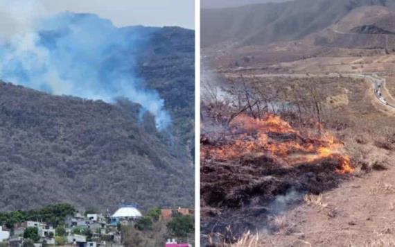 Más de 50 incendios forestales activos en México; ¿Cuales son los estados afectados?