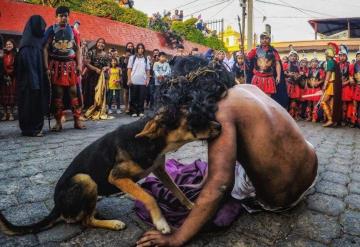 Perrito consuela a Jesús en Vía Crucis tras recibir latigazos en Guatemala