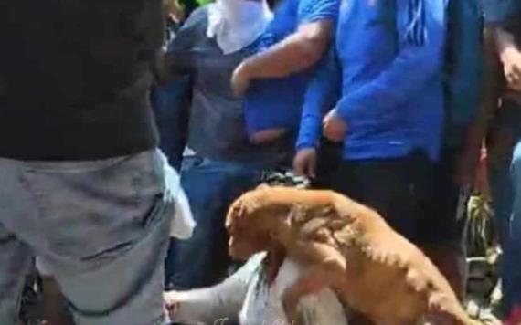 Perro de secuestradora de Camila la defendió en linchamiento y resultó herido