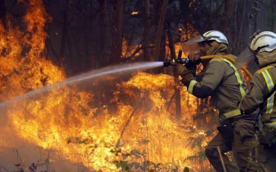 126 incendios forestales han devastado México los últimos días