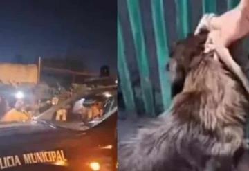 En Yucatán, familiares de un hombre que le cortó la pata a un perro son casi linchados