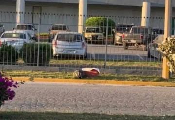 Encontraron hielera con restos humanos en Reynosa