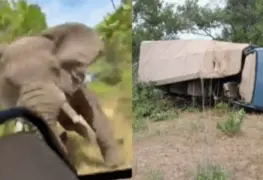 Muere turista estadounidense tras ser atacada por un elefante durante un safari en Zambia