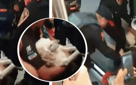 Policías sacan a hombre con perrito herido del Metro CDMX