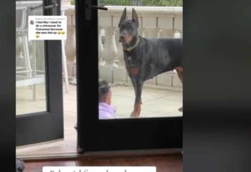 Doberman salva a una niña de caer de un balcón ; así fue el heroico momento