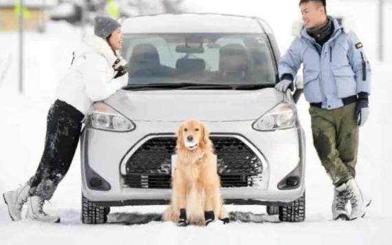 Pareja gasta más de medio millón de pesos en llevar a su perrito de vacaciones a Japón: valió cada centavo