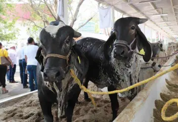 Inauguran la Exposición Ganadera Regional en la Feria Tabasco