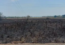 Humo, cenizas, llamas y altas temperaturas afectan a la zona de Los Ríos