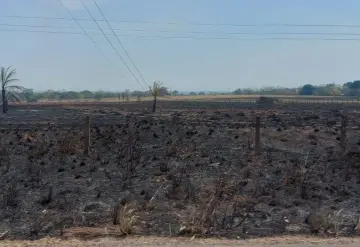 Humo, cenizas, llamas y altas temperaturas afectan a la zona de Los Ríos