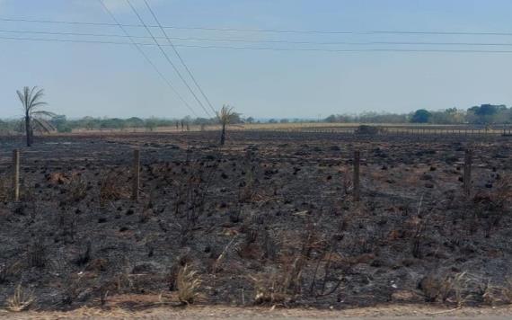 Humo, cenizas, llamas y altas temperaturas afectan a la zona de Los Ríos