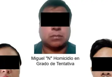 Ocho detenidos por tentativa de homicidio, robo, delitos sexuales y violencia familiar