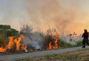 Aumentan apagones e incendios por calor extremo