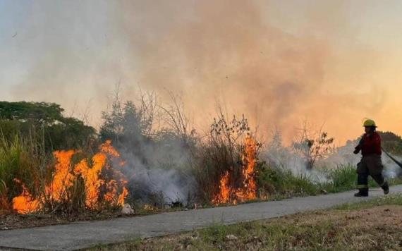 Aumentan apagones e incendios por calor extremo