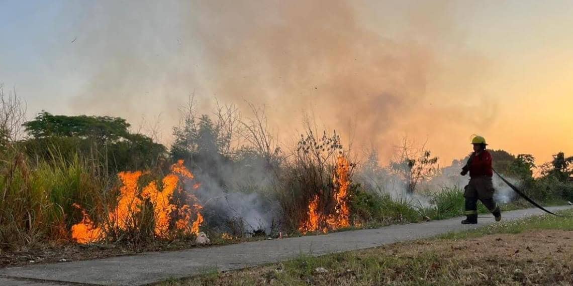 Aumentan apagones e incendios por calor extremo