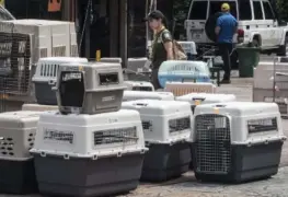 Tras el cierre de zoológicos trasladan a casi 300 animales en Costa Rica a un refugio