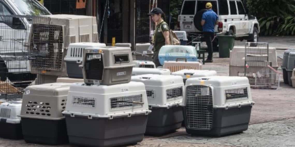 Tras el cierre de zoológicos trasladan a casi 300 animales en Costa Rica a un refugio