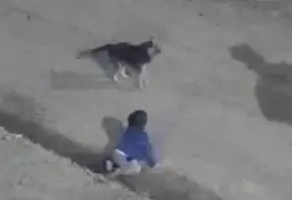 Rescatan a bebé que gateaba a las 4 am en compañía de su perrito en Argentina