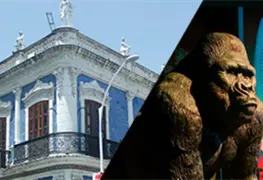 De acuerdo al INEGI Tabasco en el lugar 11 por menos visitas en sus museos