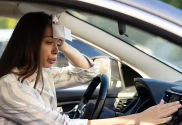 Tercera Ola de Calor en México: Sigue estas recomendaciones contra las altas temperaturas