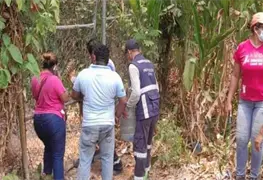 Gobierno de Comalcalco trabaja en atenci&oacute;n de emergencia ambiental que pone en riesgo la vida de los monos