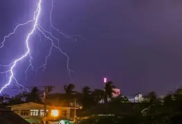 Rayo mata a ganadero y a 34 vacas en Colorado