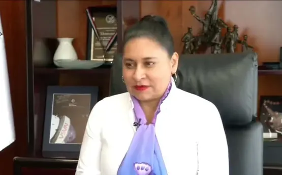 Entrevista a la senadora Ana Lilia Rivera Rivera, presidenta de la Mesa Directiva de la Comisión Permanente