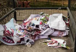 Basura electoral servirá para darle hogar a perros