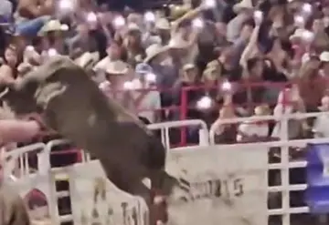 Toro salta valla de protección y deja a 3 personas heridas en Oregon, EU