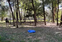 25 perros encontrados sin vida en bosque de Nativitas