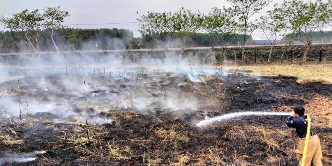 Mil 266 hectáreas de cultivo siniestradas por incendios; ahora preocupan lluvias