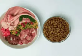 ¿La dieta BARF para mascotas es una buena opción? Esto dicen los expertos