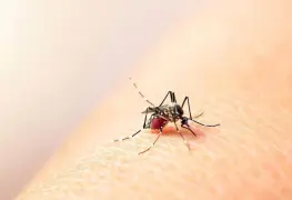 Aumentan casos de dengue en México