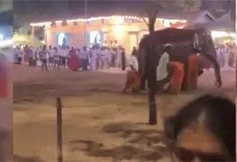 Elefante descontrolado causa p&aacute;nico y hiere a peregrinos en Sri Lanka