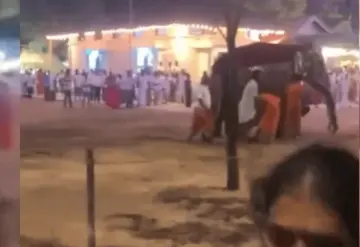 Elefante descontrolado causa pánico y hiere a peregrinos en Sri Lanka